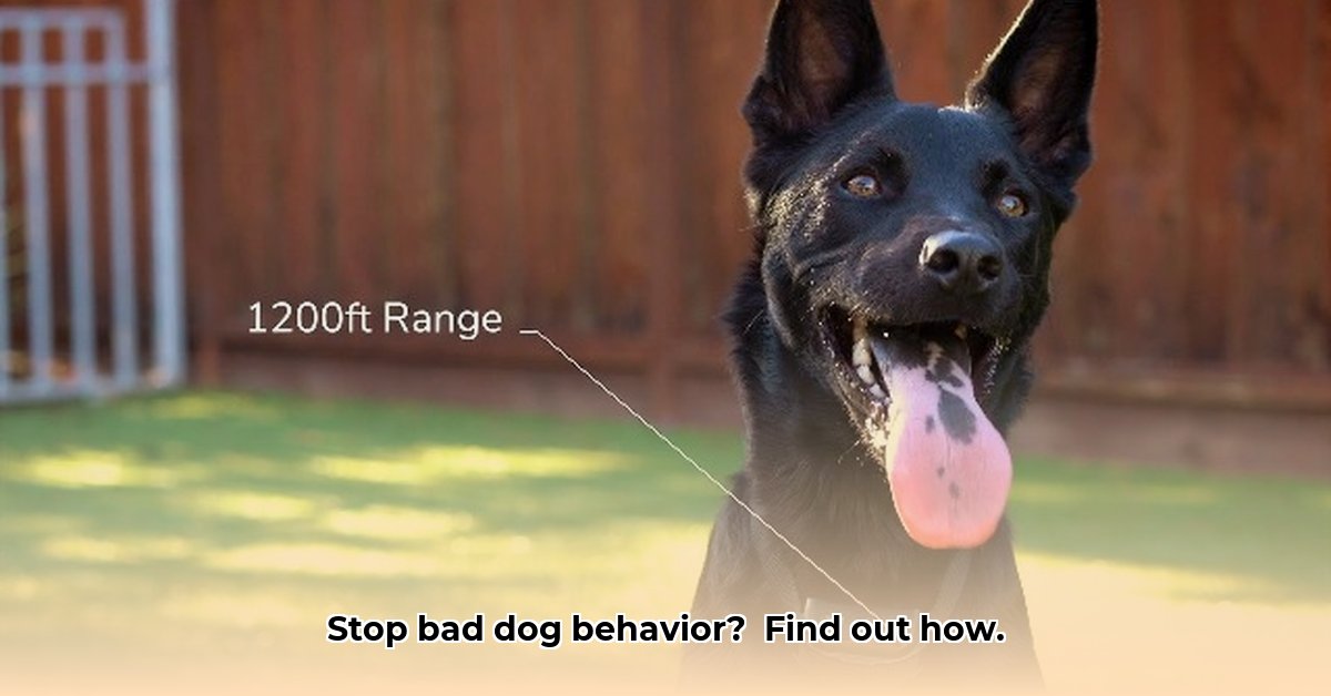 shock-collars-for-dogs-at-tractor-supply